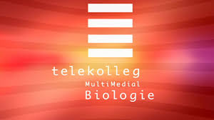 Biologie 2 Nervensystem Nervenzelle Aufbau Und Funktion Biologie Telekolleg Br De