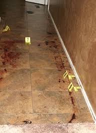 Jodi arias reportedly getting special treatment in perryville prison. Jodi Arias Trial Shocking And Graphic Photos Of Bloody Crime Scene After Jodi Arias Stabbed Her Lover 29 Times And Slit His Throat Released Daily Mail Online