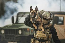 Pin By Paula Whitney On Mwd Handlers K9 Police Service Dogs Movies Military Dogs Military Working Dogs Dog Soldiers