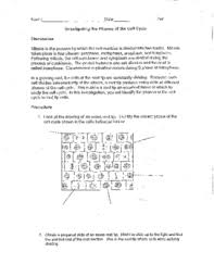 Onion root tip mitosis lab report pdf. Onion Root Tip Worksheets Teaching Resources Tpt