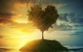 Resultado De Imagem Para Arvore Paisagem Bilder Sonnenuntergang Landschaft