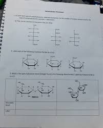 True or false question #1. Solved Carbohydrates Worksheet 1 A Label Each Type Of C Chegg Com