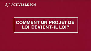 Classement par type de texte. Comment Les Projets De Loi Du Senat Deviennent Des Lois