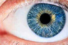Is Laser Eye Surgery Covered by Insurance? | HealthQuotes
