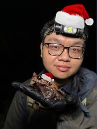 Brachytarsophrys feae frog in northern Vietnam