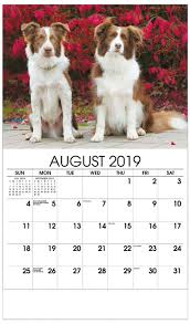 Add a reminder to your calendar using the links below. We Want Your Pets For The 2019 Pet Calendar Airpark Animal Hospital Veterinarian Carroll County Maryland