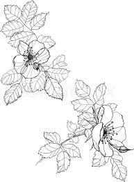Theme of how to draw a dog, especially how to draw your loved one is i guess among top priorities of every dog lover. Dog Rose Flowers Pen Drawing On White Stock Vector Colourbox