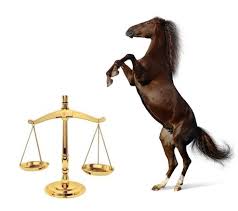 Frei zu verfügung gestellt von seite 1 von 3 kaufvertrag für ein pferd verkäufer Pferdekaufvertrag Warnung Vor Fertigen Vertragsmustern
