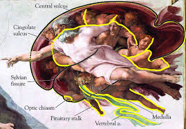 Pin By Italymammamia On Nervous System Michelangelo Sistine Chapel Ceiling Sistine Chapel