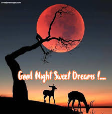 Dreams are the best part of life. Cute Good Night Messages To Mom Beautiful Messages