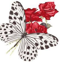 96 Gif Animasi Kupu Kupu Bergerak Lengkap Cikimm Com It's high quality and easy to use. 96 gif animasi kupu kupu bergerak