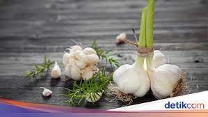 Jun 02, 2021 · tumis bawang putih hingga wangi. Begini Cara Menanam Bawang Putih Di Rumah