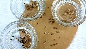 Sunflower seeds that are allowed to completely dry remain viable for planting for much longer. How To Dry Seeds 3 Techniques For Success Hobby Farms