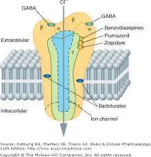 Pin On Pharmacology