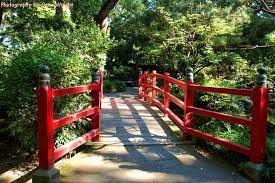 Micke Grove Regional Park Japanese Garden Japanese Garden San Joaquin County Backdrop For Wedding