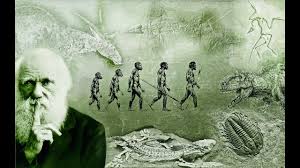 What darwin never knew video questions name: Evolution What Darwin Never Knew Nova Full Documentary Hd Dubai Khalifa
