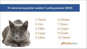 Anda tidak harus mencarinya di kamus. 1987 Ide Nama Kucing Awalan C Terlengkap 2021 Goldenmaze