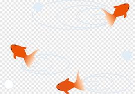 One of those fish immediately caught my eye and my interest. Butterfly Tail Telescope Comet Common Goldfish Shubunkin Summer Garden Marine Mammal Mammal Png Pngegg