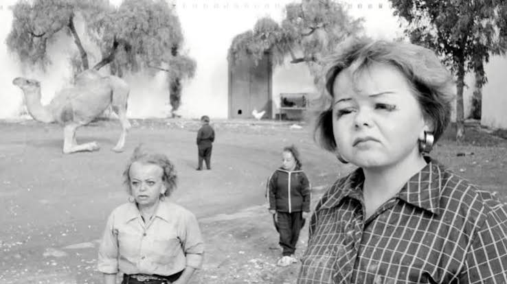 EVEN DWARFS STARTED SMALL - American Cinematheque