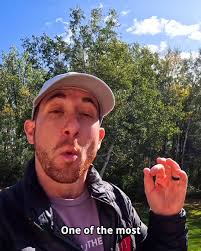 The World's Most Valuable Currency