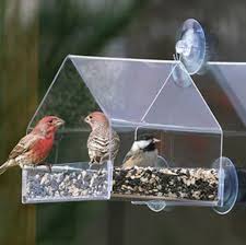 Plexiglass Bird Feeder How To Attract Birds Through Bird Feeder Plans Window Bird Feeder Best Bird Feeders Bird Feeders