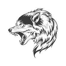 Pin By Mario Aguirre On Vector Tattoo Wolf Clipart Wolf Silhouette Wolf Vector