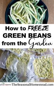 Transfer the frozen green beans into labeled zip top freezer bags. How To Freeze Green Beans From The Garden The Seasonal Homestead