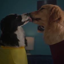 Dog kisses gif