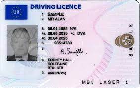 Northern Ireland Provisional Driving Licence: All You Need To Know | Newry  Times