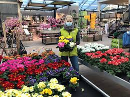 Over the time it has been ranked as high as 1 857 899 in the world, while most of its traffic comes from germany. Blumige Zeiten Gartencenter Matthies Offnet Wieder Seevetal Aktuell De