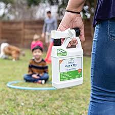Protect yourself from black flies, mosquitoes, and ticks in maine or anywhere! Amazon Com Wondercide Ready To Use Flea Tick And Mosquito Yard Spray With Natural Essential Oils Mosquito And Insect Killer Treatment And Repellent Plant Based Safe For Pets Plants