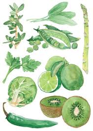 Healthy Food A4 Illustration Going Green Watercolour Illustration Print Watercolor Food Watercolor Illustration Green Watercolor