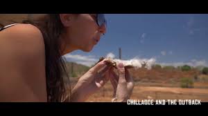 Australian Outback Tours from Cairns