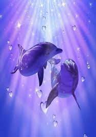 Dolphins Mobile Wallpaper Dolphin Art Mobile Wallpaper Fairy Wallpaper