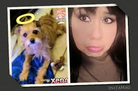 Fundraiser for Endometriosis and Endomiosis treatment