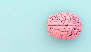 Most of us can't remember anything from before the age of three, but a new study suggests that, rather than being permanently lost, these memories could just be lying dormant in our brains, ready to resurface under the right conditions. Unlocking Your Brain White Matter Vs Grey Matter White Matter Brain Pictures Blue Backgrounds