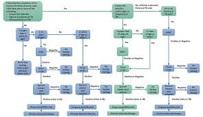 tuberculosis algorithm countries with incidence 20 cases