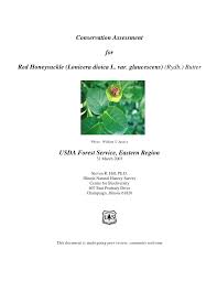 Image result for Honeysuckle 1973 Austin