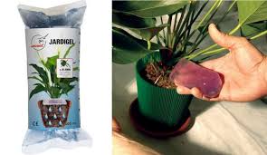 Check spelling or type a new query. Arroser Ses Plantes Pendant Les Vacances