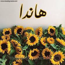 معنى اسم هاندا Handa قاموس الأسماء و المعاني