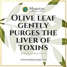 Muneeza Ahmed Muneeza Medical Intuitive Instagram Photos And Videos Medical Intuitive Natural Health Remedies Herbal Cure