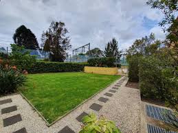 Hedges And Lawn Mowing Done Yard Is Clean For This Sunday Lovegardening Gardeninglovers Gardenlove Gardener Gardening Trimming Hedges Hedges Lawn