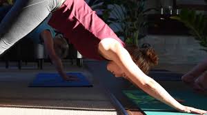 Maybe you would like to learn more about one of these? Wine Yoga Is All The Buzz Daily Egyptian