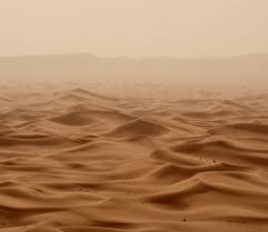 Sands of Power: Review of Dune Part I — The Digital Constitutionalist