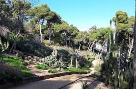 Que Voir Et Que Faire A Calella De Palafrugell Costa Brava Espagne Jardin Botanique Parcs