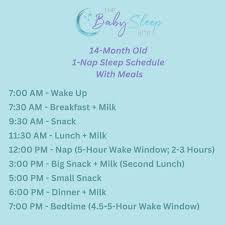 14 Month Old Sleep Schedule: Sleep Through the Night and Naps