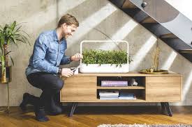 My garden of green lettuce, mini tomatoes, and basil made significant progress in just two weeks the click and grow garden brought some greenery to our previous desk space and was a breath of fresh air every day we walked into the office. The Smart Garden 9 Indoor Gardening System Click Grow