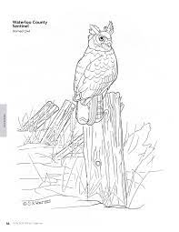 These three stencil ebooks were commissioned and compiled for anyone who is into the art of pyrography. Pyrography Patterns Basic Techniques And 30 Wildlife Designs For Woodburning Fox Chapel Publishing Large Ready To Use Patterns Both Line And Tonal Plus Tips Advice From Artist Sue Walters Walters Sue 8601410638610 Amazon Com