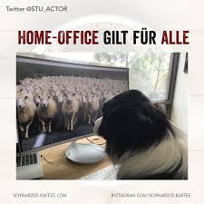 Das erwartet sie home office definition: Home Office Applies To Everyone Homeoffice Applies To All The Home Office Applies To All A In 2020 Cat Shirts Funny Good Morning Funny Pictures Wedding Quotes Funny