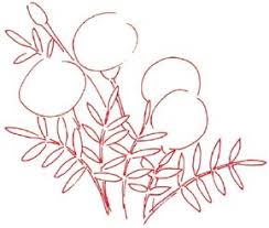 More images for marigold flower drawing step by step » How To Draw A Marigold Howstuffworks